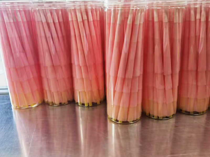 50pcs Pink Pre Rolled Cones